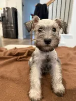 processed/cb976284-bcd3-43d9-a860-ba9ad3757bcc/listing/12acd1f5-185f-4bd1-8b76-ad8bb4010cdb/7dafc28f-bc24-4e10-b4cb-599c82863675