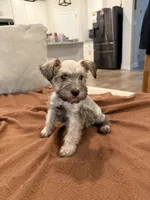 processed/cb976284-bcd3-43d9-a860-ba9ad3757bcc/listing/12acd1f5-185f-4bd1-8b76-ad8bb4010cdb/9bcd43fa-a4c2-4ad2-b560-40f7e3bf63ea