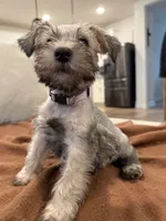 processed/cb976284-bcd3-43d9-a860-ba9ad3757bcc/listing/12acd1f5-185f-4bd1-8b76-ad8bb4010cdb/b91ee189-883d-4857-9486-081b0c7308a3