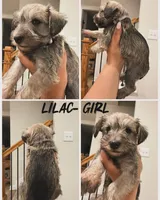 processed/cb976284-bcd3-43d9-a860-ba9ad3757bcc/listing/12acd1f5-185f-4bd1-8b76-ad8bb4010cdb/bf409489-6c38-44c6-8ebd-efbd15ccc6bc