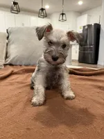 processed/cb976284-bcd3-43d9-a860-ba9ad3757bcc/listing/12acd1f5-185f-4bd1-8b76-ad8bb4010cdb/c68485d0-97b7-4e4e-8ed9-e7bc0622d797