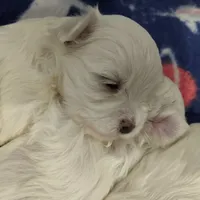 processed/cb9eddc7-63ea-4a50-aeeb-96d7690a8890/facility/25af7ff9-ded6-46fc-b1b8-51426a0b0e29