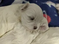 processed/cb9eddc7-63ea-4a50-aeeb-96d7690a8890/facility/25af7ff9-ded6-46fc-b1b8-51426a0b0e29