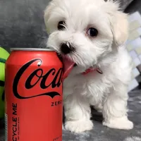 processed/cb9eddc7-63ea-4a50-aeeb-96d7690a8890/facility/7aec8c6e-6912-43e8-89cf-e70b80d70260