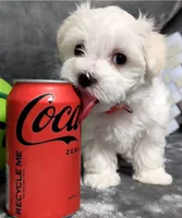 processed/cb9eddc7-63ea-4a50-aeeb-96d7690a8890/facility/7aec8c6e-6912-43e8-89cf-e70b80d70260