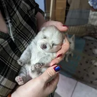 processed/cb9eddc7-63ea-4a50-aeeb-96d7690a8890/facility/7ef1ead0-d14c-4f0d-8d59-08aa81e830ea