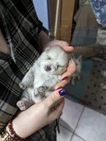 processed/cb9eddc7-63ea-4a50-aeeb-96d7690a8890/facility/7ef1ead0-d14c-4f0d-8d59-08aa81e830ea