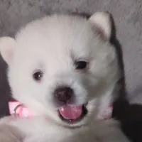 processed/cb9eddc7-63ea-4a50-aeeb-96d7690a8890/facility/8a741990-67c2-4e2b-930d-87fb7a92868d