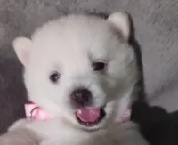 processed/cb9eddc7-63ea-4a50-aeeb-96d7690a8890/facility/8a741990-67c2-4e2b-930d-87fb7a92868d