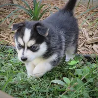 processed/cb9eddc7-63ea-4a50-aeeb-96d7690a8890/facility/962f3104-8a86-4572-921b-498f643161d4