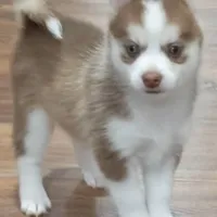 processed/cb9eddc7-63ea-4a50-aeeb-96d7690a8890/facility/b9dca0d2-763f-462a-8044-29bd0c2326ae