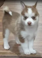 processed/cb9eddc7-63ea-4a50-aeeb-96d7690a8890/facility/b9dca0d2-763f-462a-8044-29bd0c2326ae