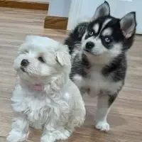 processed/cb9eddc7-63ea-4a50-aeeb-96d7690a8890/facility/e0cb937e-cbdc-4434-ba9b-1e1acf58a3ab