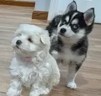 processed/cb9eddc7-63ea-4a50-aeeb-96d7690a8890/facility/e0cb937e-cbdc-4434-ba9b-1e1acf58a3ab