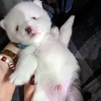 processed/cb9eddc7-63ea-4a50-aeeb-96d7690a8890/facility/e867c1f5-9dd2-4145-aa6f-c7af6a7a2ffa