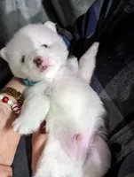 processed/cb9eddc7-63ea-4a50-aeeb-96d7690a8890/facility/e867c1f5-9dd2-4145-aa6f-c7af6a7a2ffa