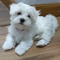 processed/cb9eddc7-63ea-4a50-aeeb-96d7690a8890/facility/f8f6450f-72ae-4387-81ad-42b3dd8b34f8