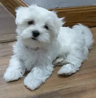 processed/cb9eddc7-63ea-4a50-aeeb-96d7690a8890/facility/f8f6450f-72ae-4387-81ad-42b3dd8b34f8