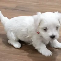 processed/cb9eddc7-63ea-4a50-aeeb-96d7690a8890/facility/ffc70a7b-ae0c-4892-9a49-ee2f9ea59f5b