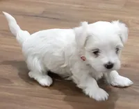 processed/cb9eddc7-63ea-4a50-aeeb-96d7690a8890/facility/ffc70a7b-ae0c-4892-9a49-ee2f9ea59f5b