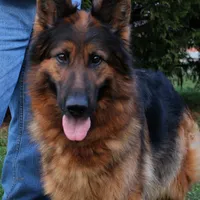 processed/cba14922-5950-4780-bd0e-9f5c1cf76e76/facility/6b287628-1364-49b7-ab30-9778e73719d6