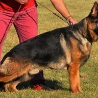 processed/cba14922-5950-4780-bd0e-9f5c1cf76e76/facility/741ea120-5d85-4ddb-995d-e410fa7266fb