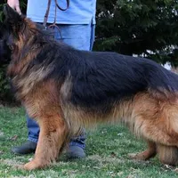 processed/cba14922-5950-4780-bd0e-9f5c1cf76e76/facility/a96b4121-2d7a-49b1-b0e1-edc23123e3dd