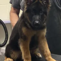 processed/cba14922-5950-4780-bd0e-9f5c1cf76e76/facility/ae08a3d3-0575-48ef-8a8c-694a68a31ed2