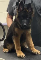 processed/cba14922-5950-4780-bd0e-9f5c1cf76e76/facility/ae08a3d3-0575-48ef-8a8c-694a68a31ed2