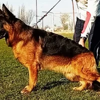 processed/cba14922-5950-4780-bd0e-9f5c1cf76e76/facility/fcd8025f-32fe-4ddd-acab-7eeef469413f