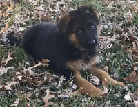 processed/cba14922-5950-4780-bd0e-9f5c1cf76e76/listing/17b4f1e2-f3a2-4b8f-868d-23cd5ccf08fc/69e46d24-92b8-4b2e-b520-31713f4c2e59