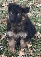 processed/cba14922-5950-4780-bd0e-9f5c1cf76e76/listing/4a881764-e322-406c-b96d-0cc9bfdabd2e/439bc948-dbb7-4554-ac35-0e4ec0dd280c