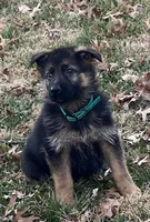 processed/cba14922-5950-4780-bd0e-9f5c1cf76e76/listing/9c7668df-fe5a-4c04-a5ae-c530d1098966/3d9a2535-50e6-4dc9-bb7a-257f7fb55117