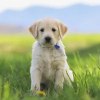 processed/cba9a87b-8b3c-4e76-9a39-04189a545028/facility/0090a266-9916-4368-9bd0-90d6e38ff6f8