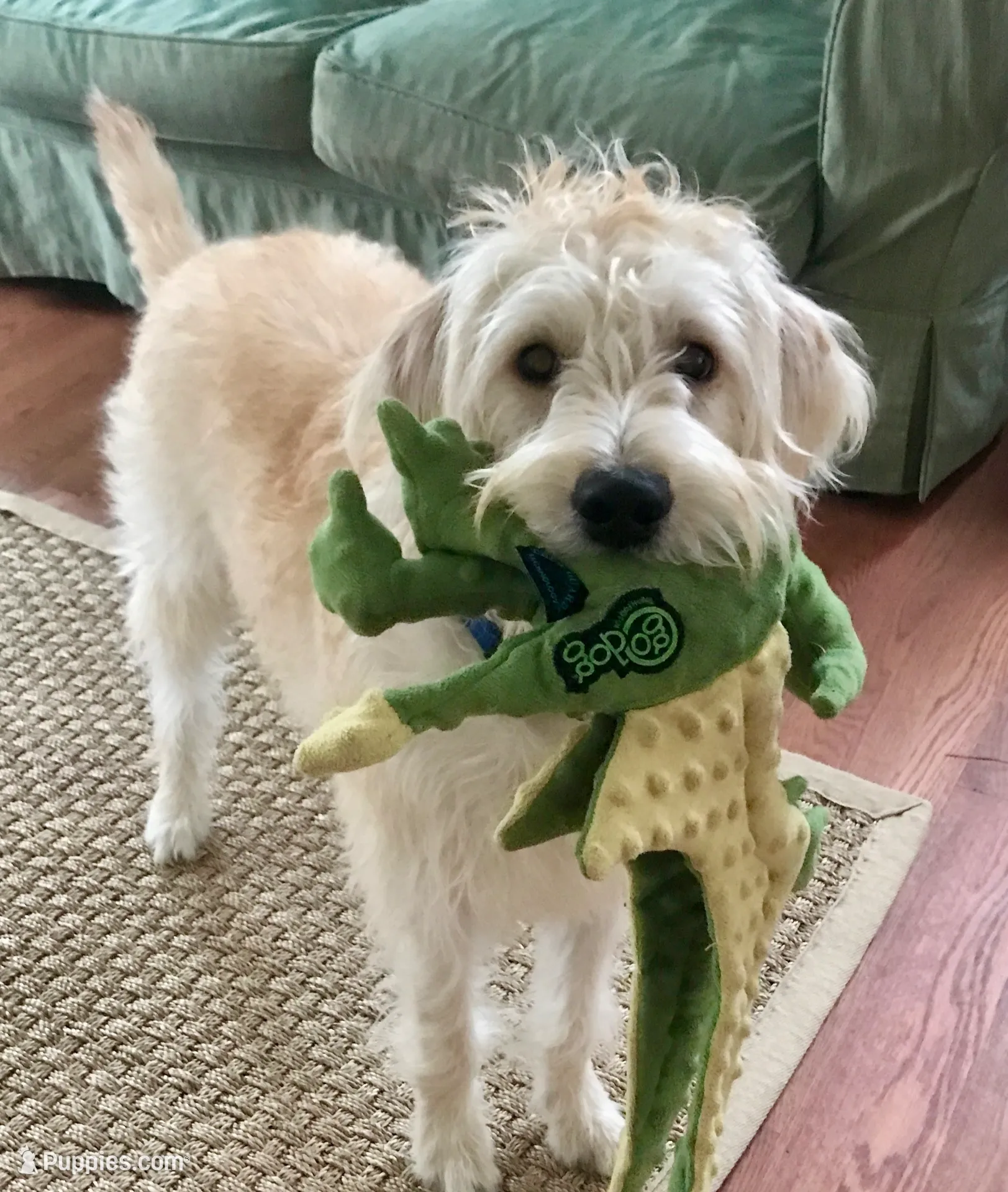 processed/cba9a87b-8b3c-4e76-9a39-04189a545028/facility/4050e322-2343-475f-b23a-ed6b7a0ed19d