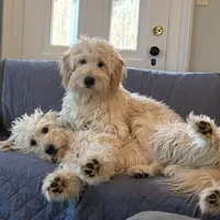 processed/cba9a87b-8b3c-4e76-9a39-04189a545028/facility/66e98e7a-aa65-4121-a207-ef58adc64b1d