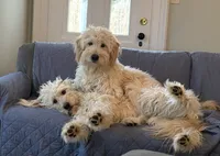 processed/cba9a87b-8b3c-4e76-9a39-04189a545028/facility/66e98e7a-aa65-4121-a207-ef58adc64b1d