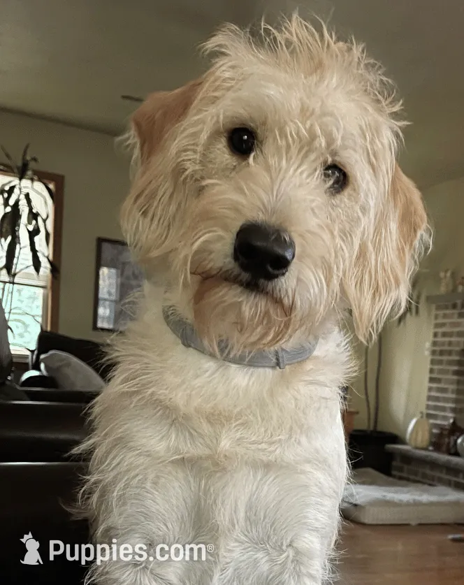 processed/cba9a87b-8b3c-4e76-9a39-04189a545028/facility/70eb1aa2-7cb7-4bd0-87e0-879173aa2088