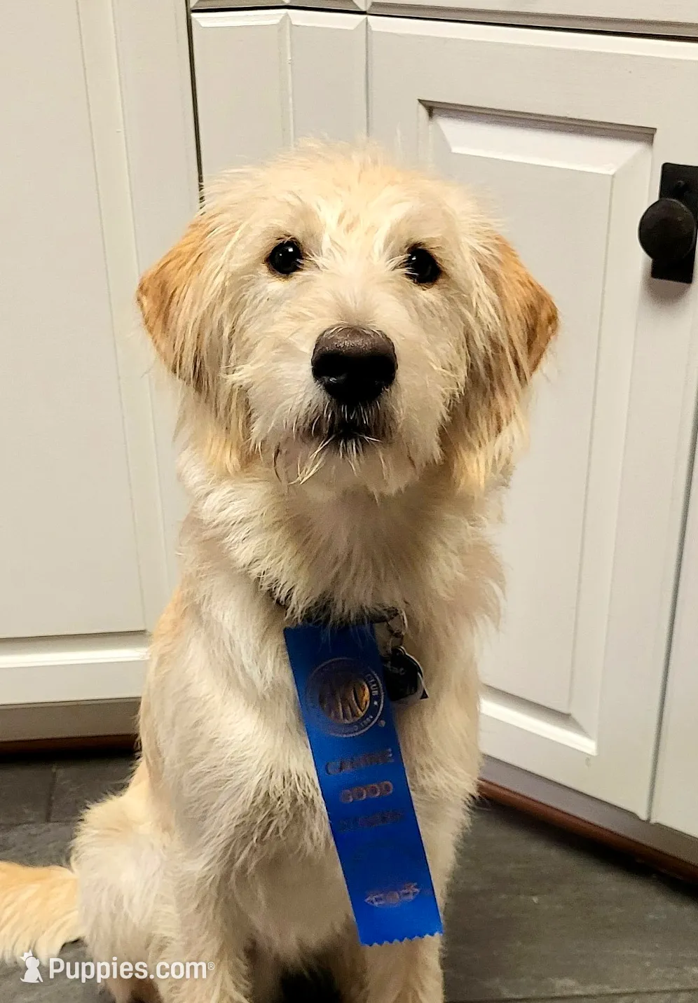 processed/cba9a87b-8b3c-4e76-9a39-04189a545028/facility/82d57dee-25e7-456b-89f3-cf1a75d4bc0d