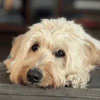 processed/cba9a87b-8b3c-4e76-9a39-04189a545028/facility/b457b15d-8732-40eb-9bc4-a8e53946d81b