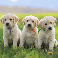 processed/cba9a87b-8b3c-4e76-9a39-04189a545028/facility/be25599c-8925-483e-bdc9-8216abefc6bc