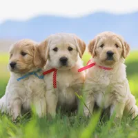 processed/cba9a87b-8b3c-4e76-9a39-04189a545028/facility/d04ea3ae-8a42-41ae-9b04-c68918453480