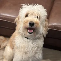 processed/cba9a87b-8b3c-4e76-9a39-04189a545028/facility/f18fd57b-714e-4d5c-886a-bb9db0060e1e