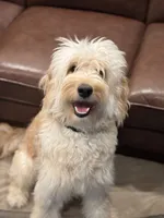 processed/cba9a87b-8b3c-4e76-9a39-04189a545028/facility/f18fd57b-714e-4d5c-886a-bb9db0060e1e