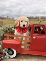 processed/cba9a87b-8b3c-4e76-9a39-04189a545028/listing/2273cc51-6d30-4a21-b376-aea2ca7d8924/ce4b8799-a2c4-444a-b1b6-7cd1ed934889