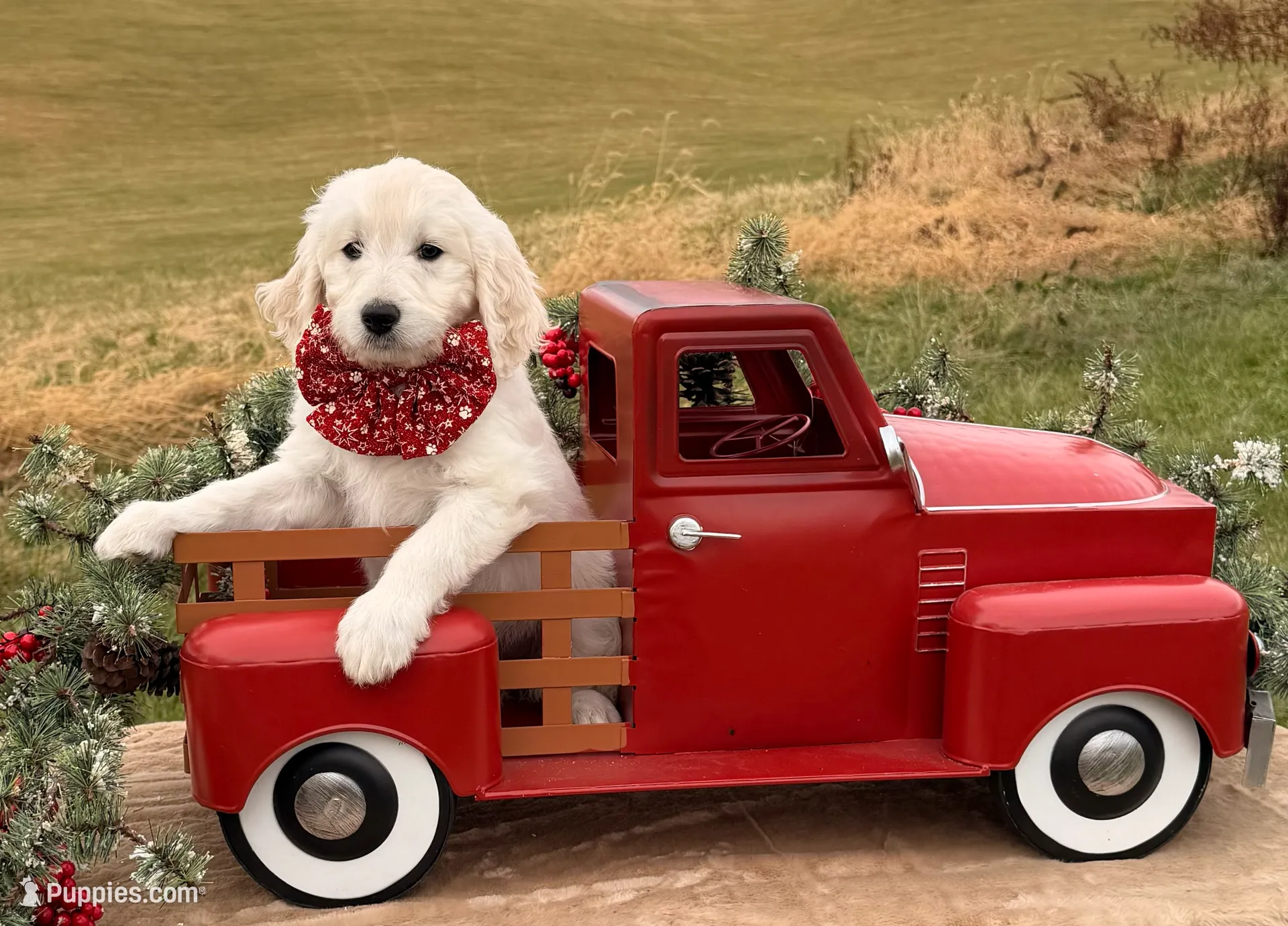 processed/cba9a87b-8b3c-4e76-9a39-04189a545028/listing/536fe35c-d1c3-480e-9676-9f4a682e23c0/a80e150b-6137-4969-a4fd-c9e03793d344