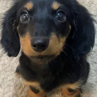 processed/cbba7722-d23c-4295-9c61-bfe47cc28dd6/facility/05b7f7a4-dabb-4ffd-a177-a91a9f86ef37