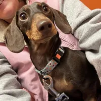 processed/cbba7722-d23c-4295-9c61-bfe47cc28dd6/facility/4ec5a841-74d8-4889-9f10-f9352813e333