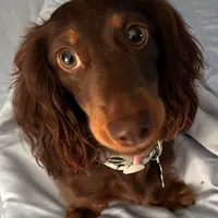 processed/cbba7722-d23c-4295-9c61-bfe47cc28dd6/facility/883f599e-081a-4fcb-a427-970b69259059