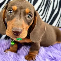 processed/cbba7722-d23c-4295-9c61-bfe47cc28dd6/facility/a67fb200-4af4-42a8-9b3c-4a69a9a29322